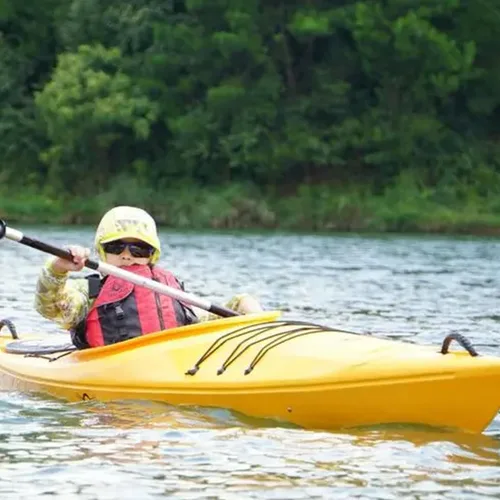 Vista 5 de Cuerdas elásticas de 12 pulgadas con ganchos, correas elásticas negras para camping, bicicleta, vagón plegable, maletero, etc.