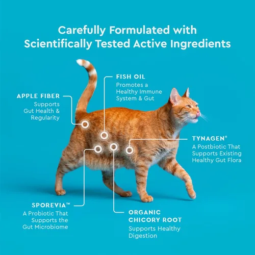 Vista 6 de VetIQ Probióticos para gatos, golosinas para la salud digestiva