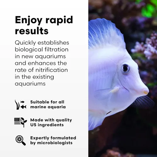 Vista 3 de Brightwell Aquatics MicroBacter Start XLM - Bacterias nitrificantes concentradas de agua dulce - Iniciador de peceras de inicio rápido, eleva