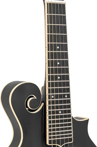 Vista 4 de Goldtone F-6 Manditar Cutaway Mando-Guitarra con estuche