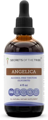 Secrets of the Tribe Angélica Tintura Extracto líquido sin alcohol, Angélica archangelica raíz seca (4 onzas líquidas)