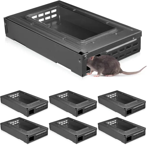 Vista 8 de Qualirey Paquete de 4 trampas para ratones de captura múltiple, parte superior transparente, humanizada, para interiores y exteriores, control