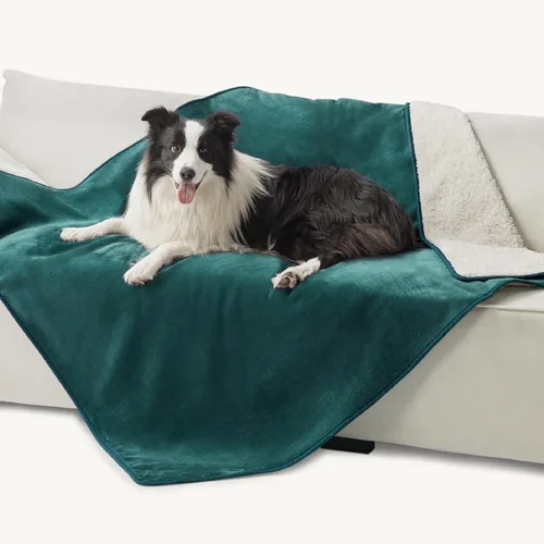 Vista 123 de Bedsure - Mantas impermeables para perros pequeños - Manta de felpa de sherpa con impresión suave lavable para perros y gatos, protector de muebles
