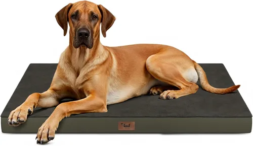 Vista 85 de Cama para perros y gatos pequeños, impermeable, para jaula de huevos, espuma ortopédica con funda Oxford lavable y extraíble, color verde Amy