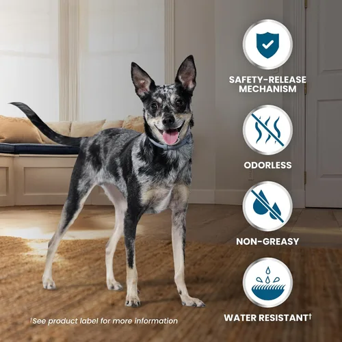 Vista 9 de Seresto Collars for Large Dog Over 18 lbs. & Small Dog Under 18 lbs Vet-Recommended For Flea & Tick Treatment & Prevention 8 Months Protection Each