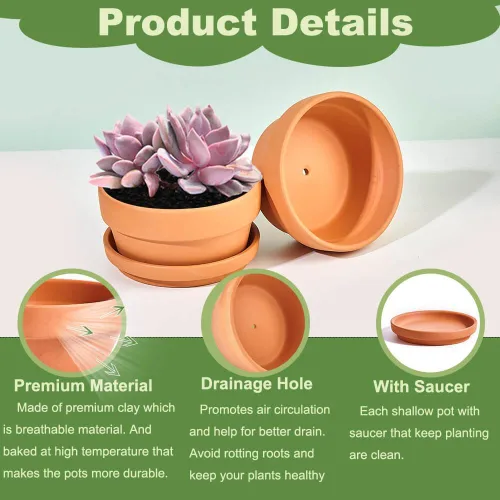 Vista 3 de Maceta pequeña de terracota poco profunda para suculentas, 6 macetas de arcilla con orificio de drenaje y platillo, macetas de cerámica poco