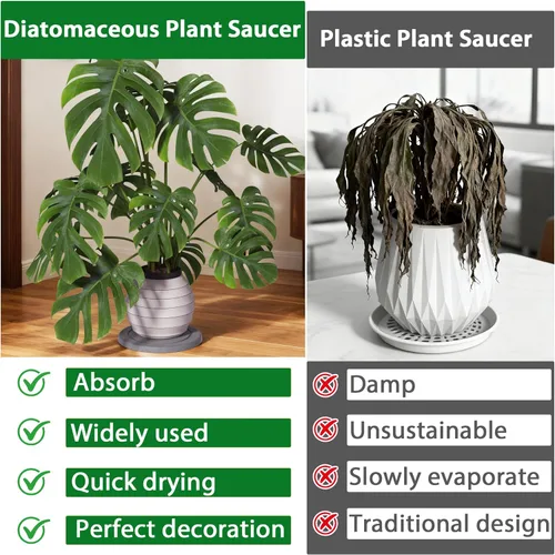 Vista 8 de Platillo para plantas, platillos para macetas, bandejas para macetas de tierra de diatomeas de secado instantáneo, bandejas redondas para goteo