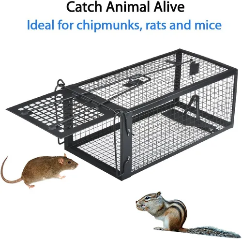 Vista 2 de Gingbau Paquete de 2 trampas para ratas ardillas humanitarias, jaulas de trampa para ratones vivos
